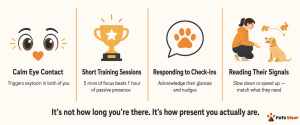diagram comparing quality attention vs passive time with dog — four bonding behaviors that build dog attachment